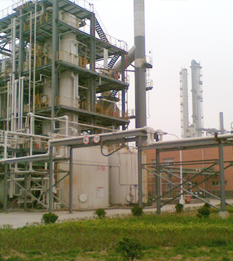 江蘇石化 百里挑一 終選宏遠硬脂酸鹽