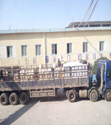 2016春節后 宏遠化工整車待發