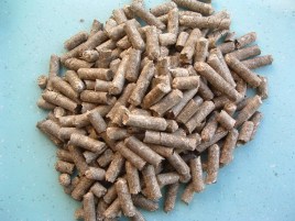 水產(chǎn)飼料中為什么要加入硬脂酸鎂呢?